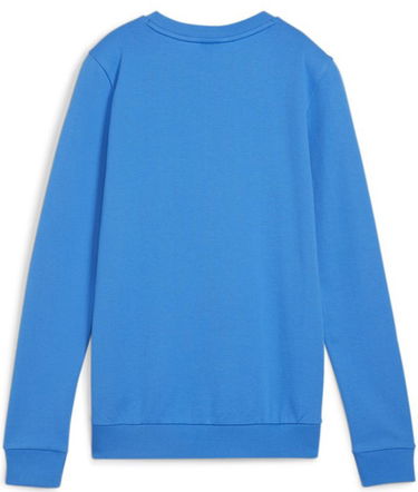 Mikina Puma teamGOAL Casuals Sweatshirt Modrá | 658594-02, 1