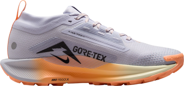 Tenisky a topánky Nike Pegasus Trail 5 GORE-TEX Rôznofarebný | fq0912-011, 3