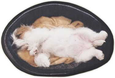 Kabelka UNDERCOVER Undercover Puppy Pouch Čierna | UC1E1P91-1, 0