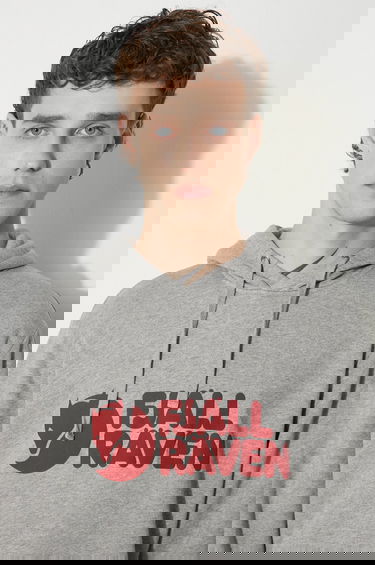 Mikina FJÄLLRÄVEN Fjallraven Logo Pullover Hoodie with Drawstring and Kangaroo Pocket Šedá | F84144, 3