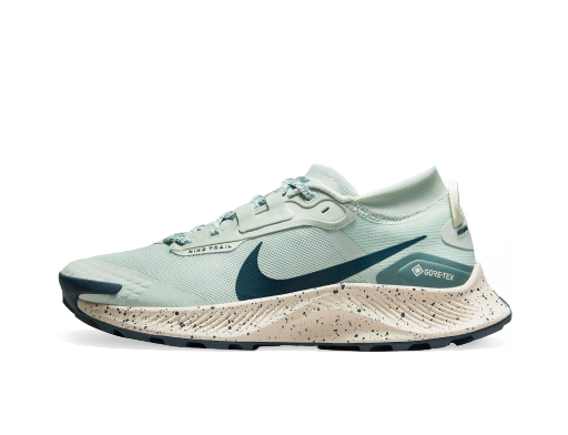 Bežecké topánky Nike Pegasus Trail 3 GTX Tyrkysová | dc8794-003