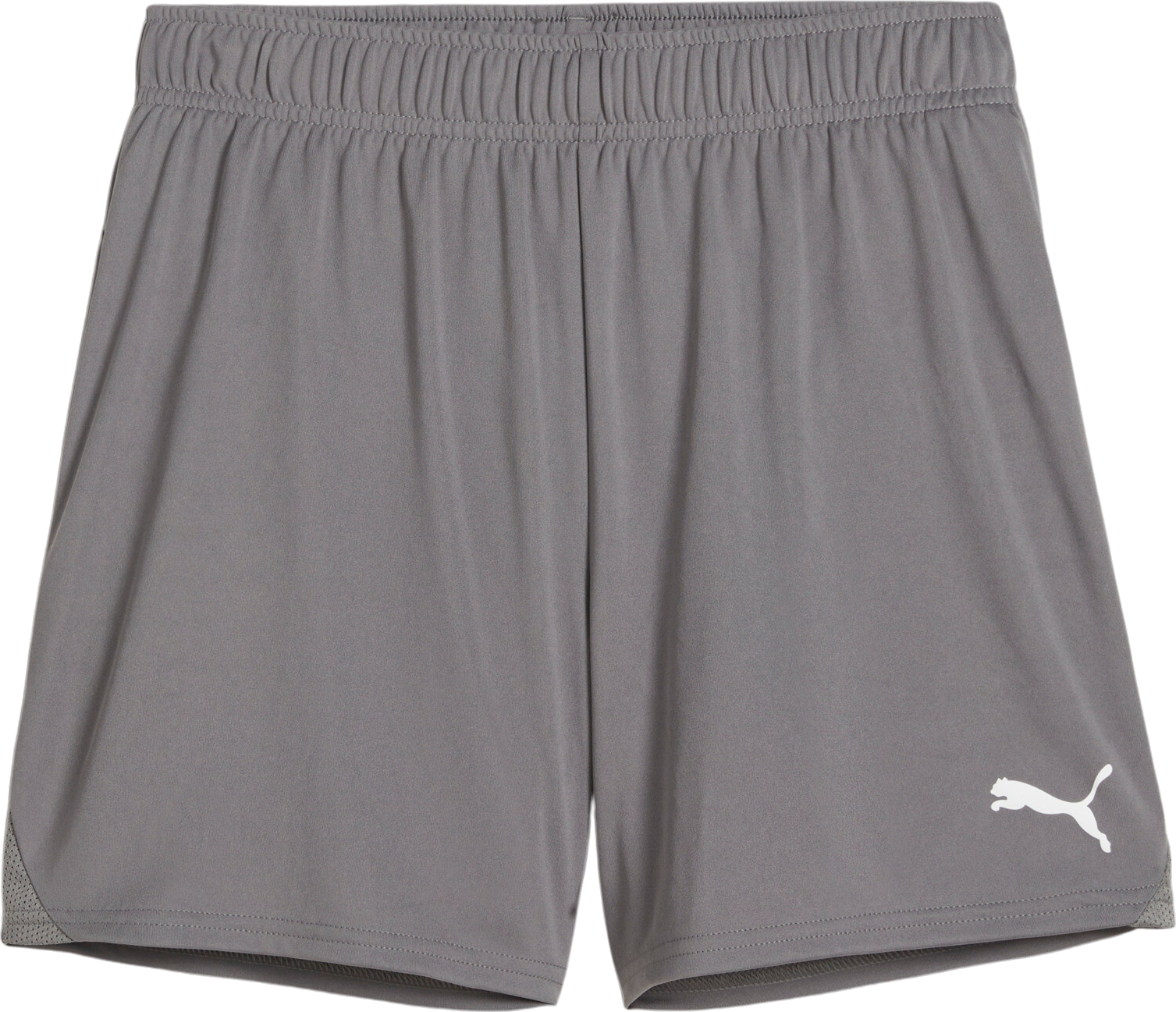 Puma teamGOAL Handball Shorts