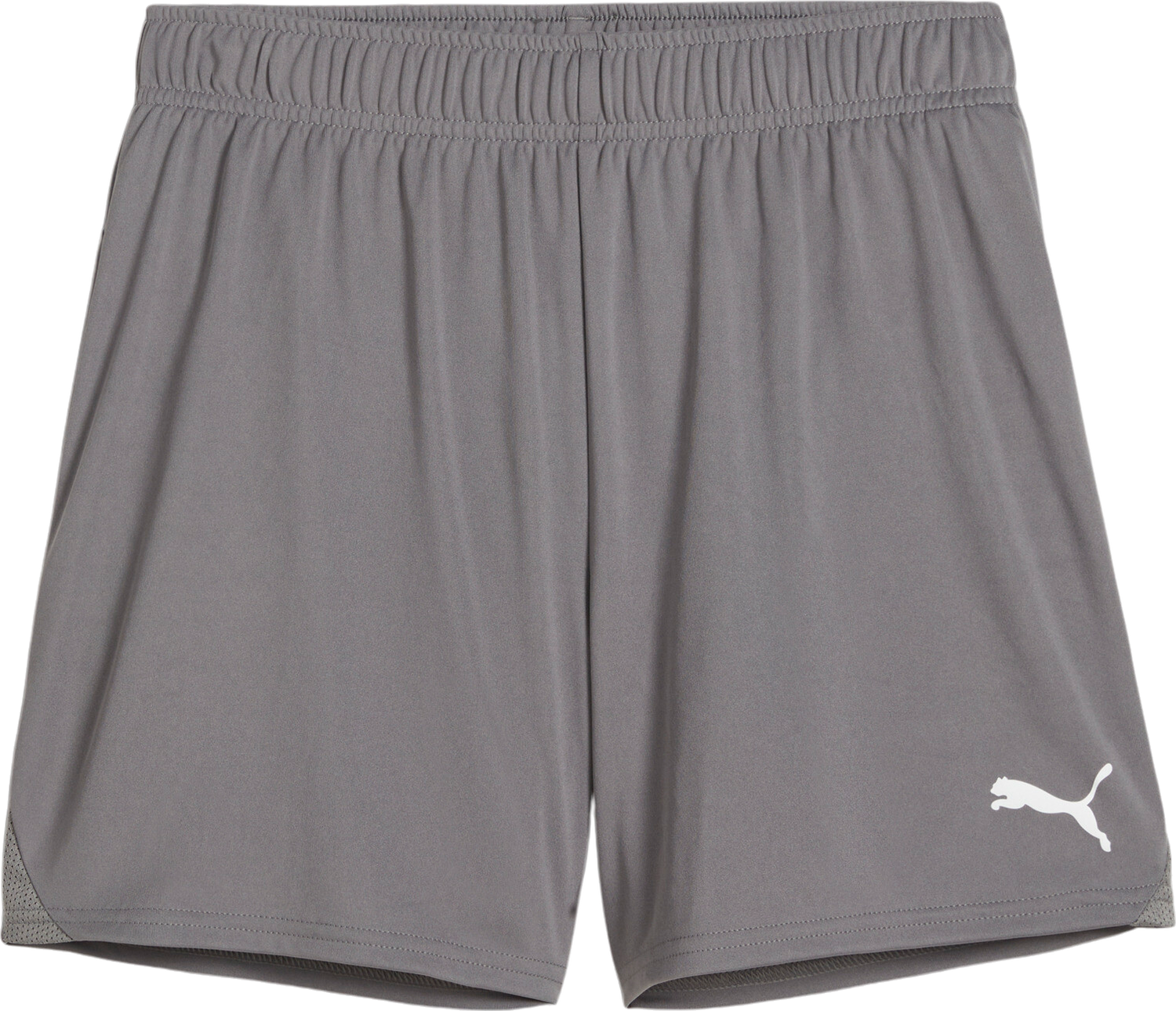 Šortky Puma Puma teamGOAL Handball Shorts Šedá | 706019-13, 1