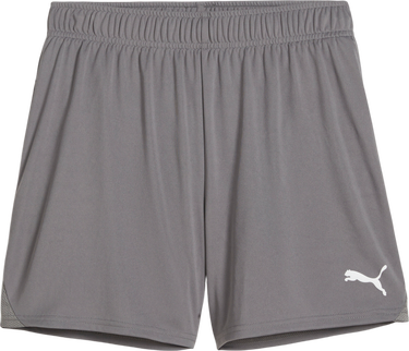 Šortky Puma Puma teamGOAL Handball Shorts Šedá | 706019-13, 1