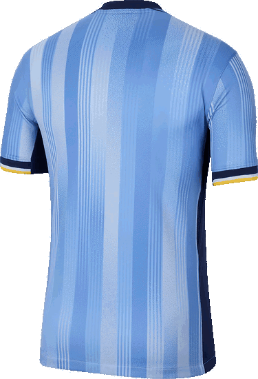 Dres Nike THFC M NK DF JSY SS STAD AW 2024/25 Tyrkysová | fn8788-480, 1