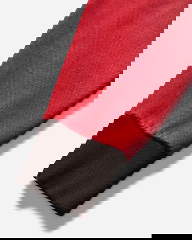 Mikina Aries Sunbleached Premium Temple Sports Hoodie Rôznofarebný | AR2002604 Red, 4