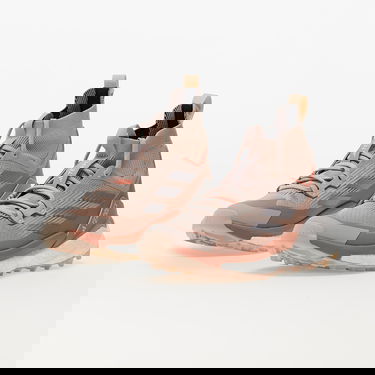 Tenisky a topánky adidas Performance Terrex Free Hiker 2 W Hnedá | HP7497, 5