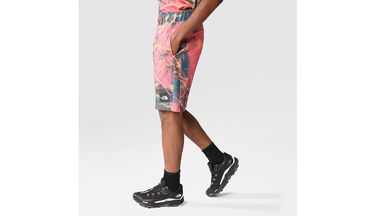 Šortky The North Face M Summer Logo Shorts Rôznofarebný | NF0A8237IOC, 5