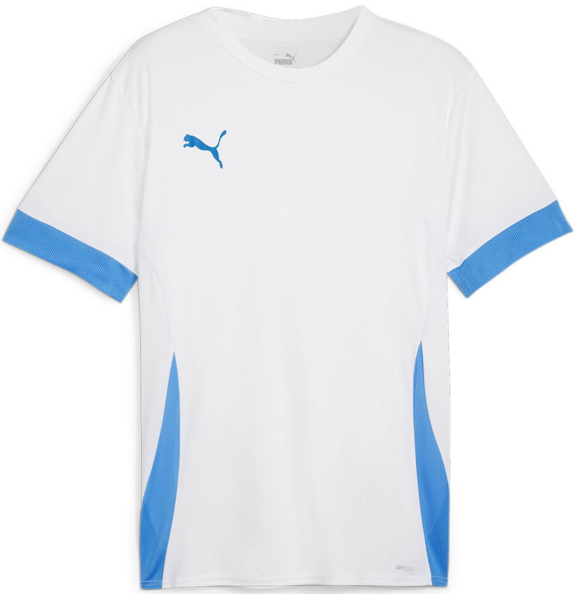 Dres Puma teamGOAL Matchday Jersey Šedá | 705747-12