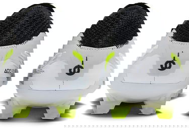 Tenisky a topánky Nike LEGEND 10 ELITE FG Metalická | dv4328-001, 5