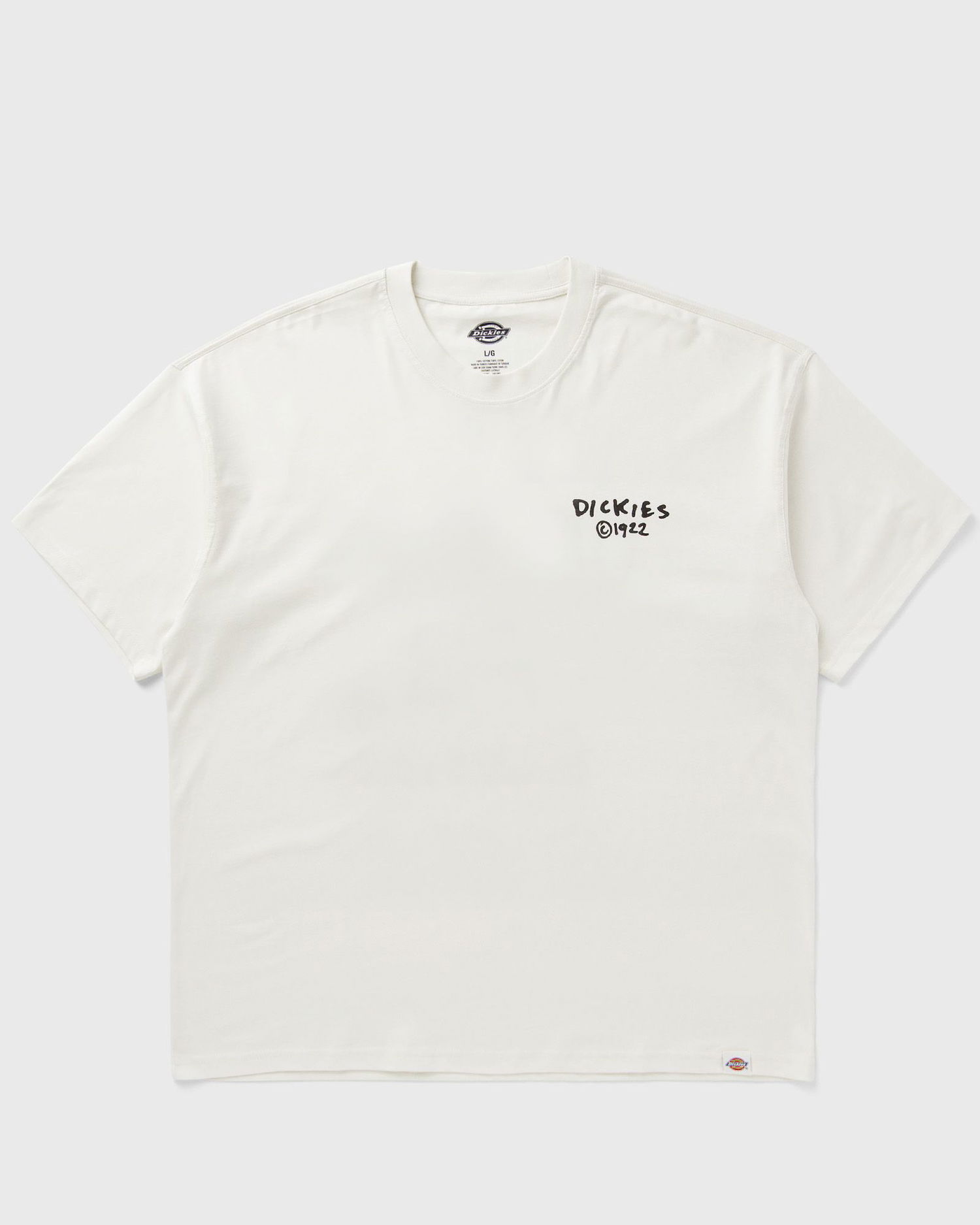 Tričko Dickies Sneedville T-Shirt Biela | DK0A87QOC481, 0