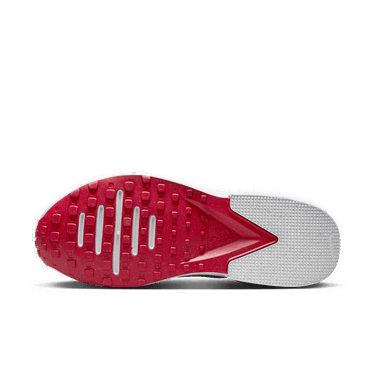 Tenisky a topánky Nike Air Zoom TR 1 Šedá | DX9016-004, 2