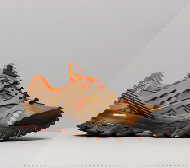 Tenisky a topánky Reebok DMX Trail Shadow Hnedá | FW3332, 5