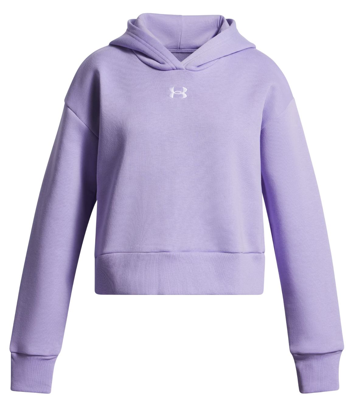 Mikina Under Armour Rival Fleece Hoodie Fialová | 1379517-538, 0