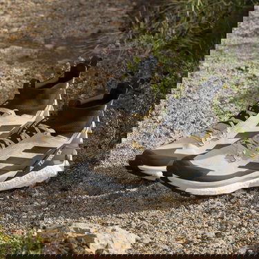 Tenisky a topánky adidas Performance adidas TERREX Boty Terrex Free Hiker 2.0 Hiking Béžová | IE5117, 5