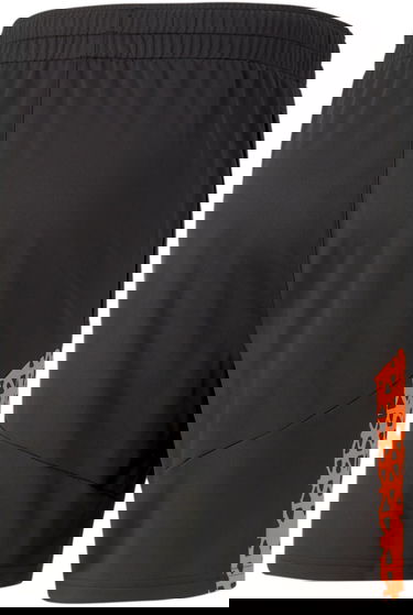 Šortky Puma individualCUP Training Shorts Šedá | 658293-050, 1