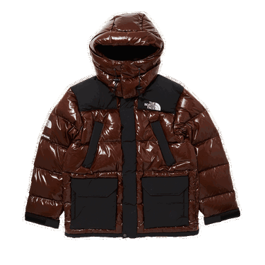 Parka Supreme The North Face x 700-Fill Down Parka Hnedá | FW22J6 BROWN, 0