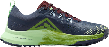 Tenisky a topánky Nike Pegasus Trail 4 Rôznofarebný | dj6159-403, 2