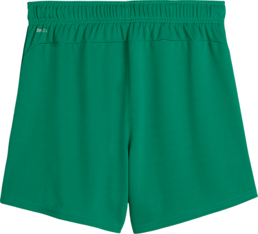Šortky Puma Puma teamGOAL Handball Shorts Zelené | 706019-05, 1