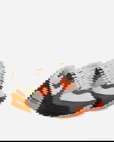 Tenisky a topánky Nike Air Max 90 Rôznofarebný | DM0029-018, 2
