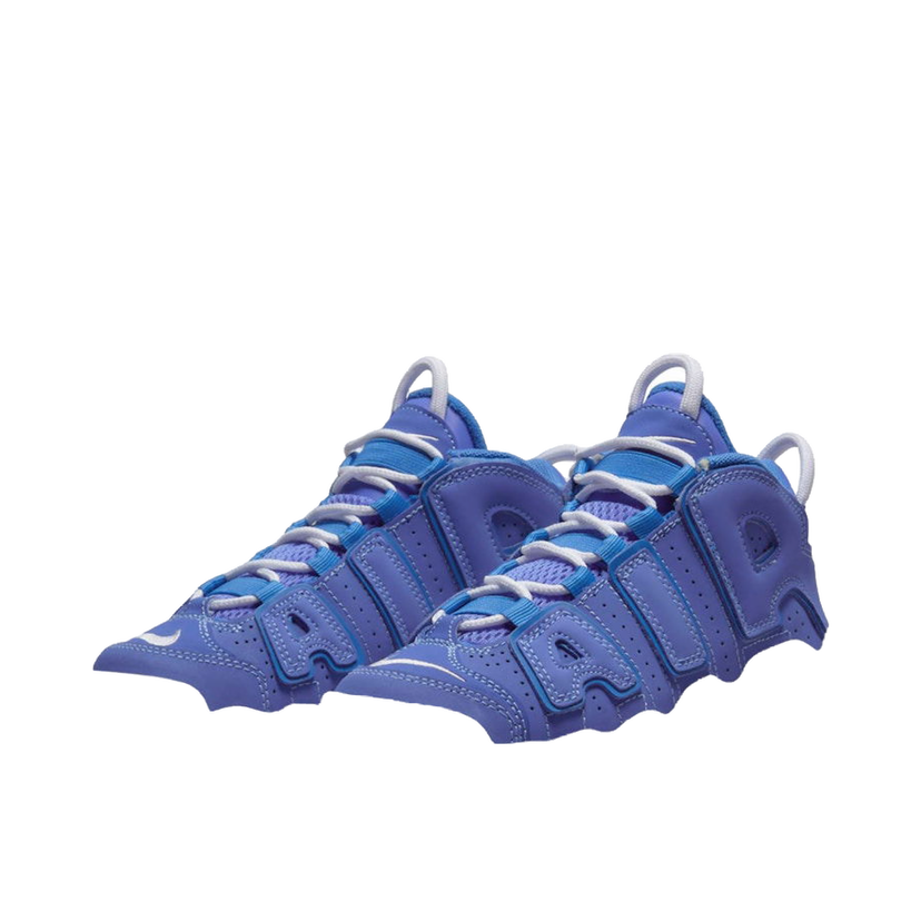 Tenisky a topánky Nike Air More Uptempo Fialová | DM1026-400