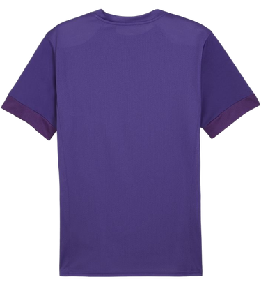 Dres Puma teamGOAL Matchday Jersey Fialová | 705747-10, 1