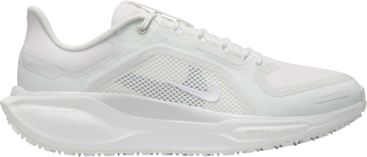 Tenisky a topánky Nike Pegasus 41 GORE-TEX Biela | fq1357-101, 0