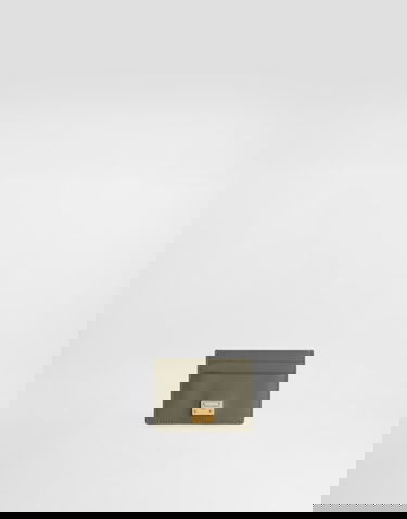 Peňaženka Dolce & Gabbana Plongé Calfskin Card Holder Zelené | BI0330A9S2580560, 3