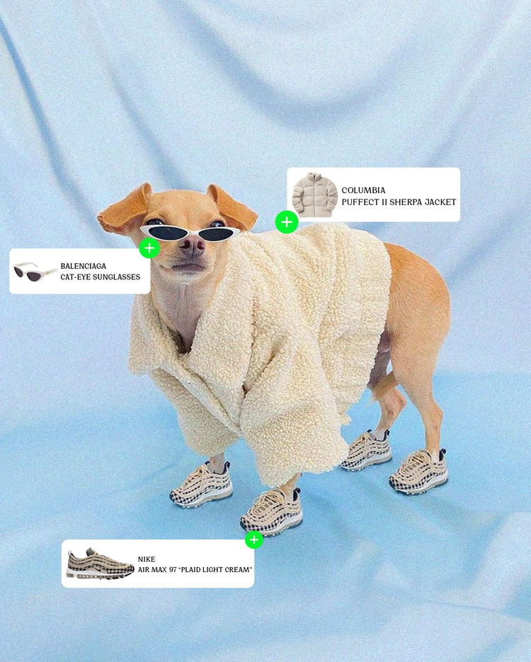 Ready for Winter