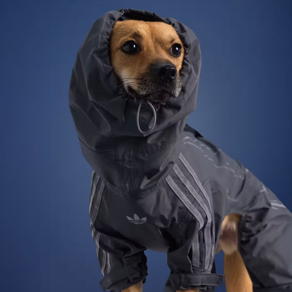 Tri pruhy znovu na štyroch labkách: adidas prichádza s pet kolekciou na jeseň 2025